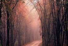 欧博官网:美国队连输巴拿马、加拿大!波切蒂诺:现在发现问题比将来好.