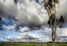 安德列娃/施耐德2-1击败对手,夺得WTA1000迈阿密站双打冠军.