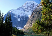 欧博官网:WCBA:连胜收官 山东高速赤水河酒女篮98-69新疆女篮.