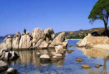 欧博官网：[德甲]特尔绝杀 拜仁逆转门兴保持不败.